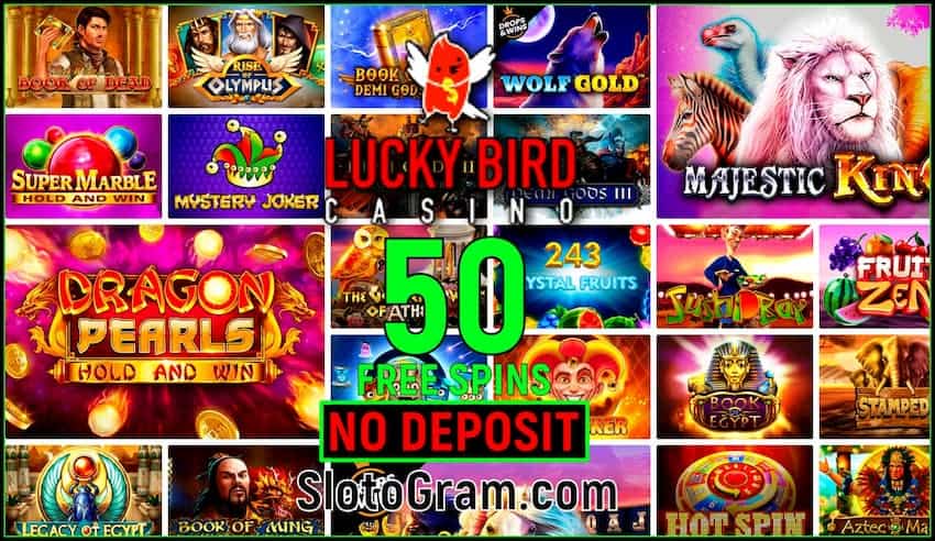Lucky Bird Casino Review 2024 e bonificación sen depósito (50FS) están na foto.