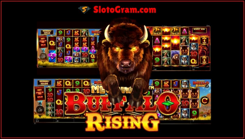 ស្លតជាមួយប្រាក់រង្វាន់ទិញ Buffalo Rising មានរូបថតមួយ។