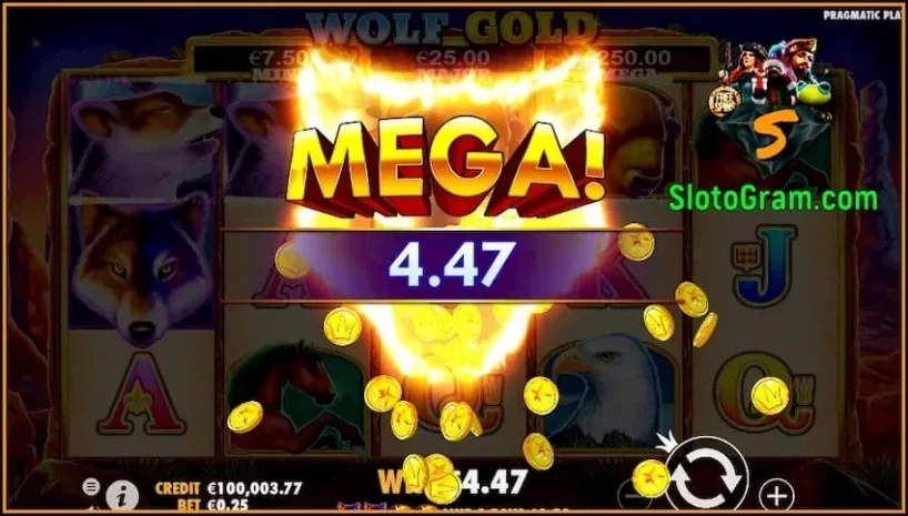 Big Win នៅក្នុងរន្ធដាប់ប៊លហ្គោលពីអ្នកផ្តល់ Pragmatic Play មានរូបថតមួយ។