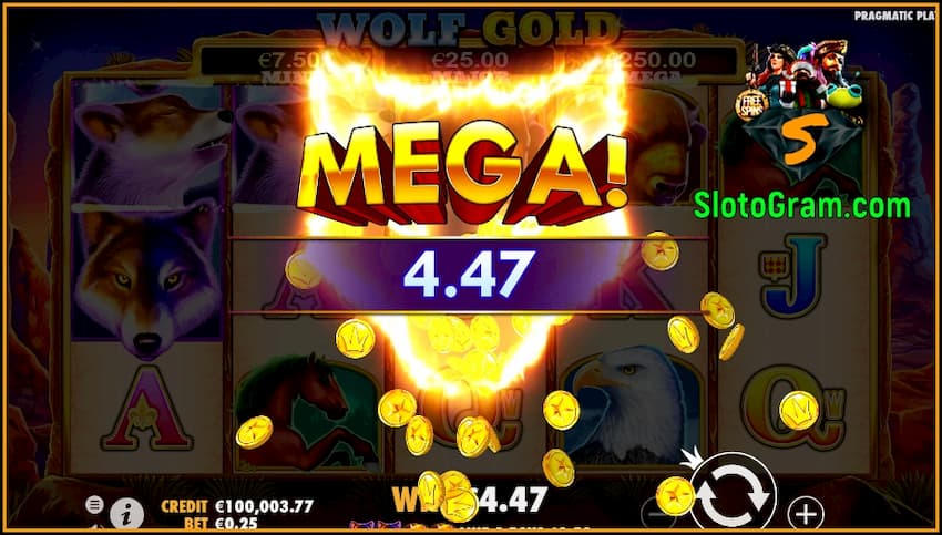 Большой Выигрыш в слоте Wolf Gold от провайдера Pragmatic Play есть на фото.