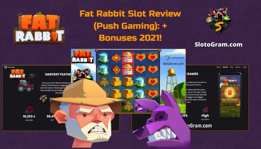 Plej bona ludmaŝino Fat Rabbit de la provizanto Push Gaming estas en la foto.