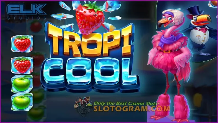 Tropicool стоит в числе самых популярных игровых автоматов компании Elk Studios на сайте Slotogram.com на фото есть