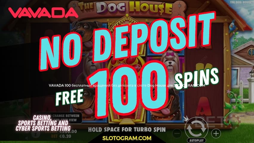 Erhalten Sie einen Bonus von 100 Freispielen ohne Einzahlung für die Registrierung im Dog House Slot in VAVADA auf Slotogram.com Es gibt ein Foto.